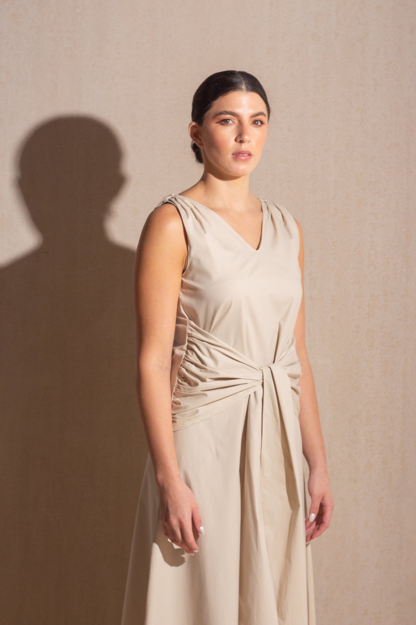 Carriage Beige Dress