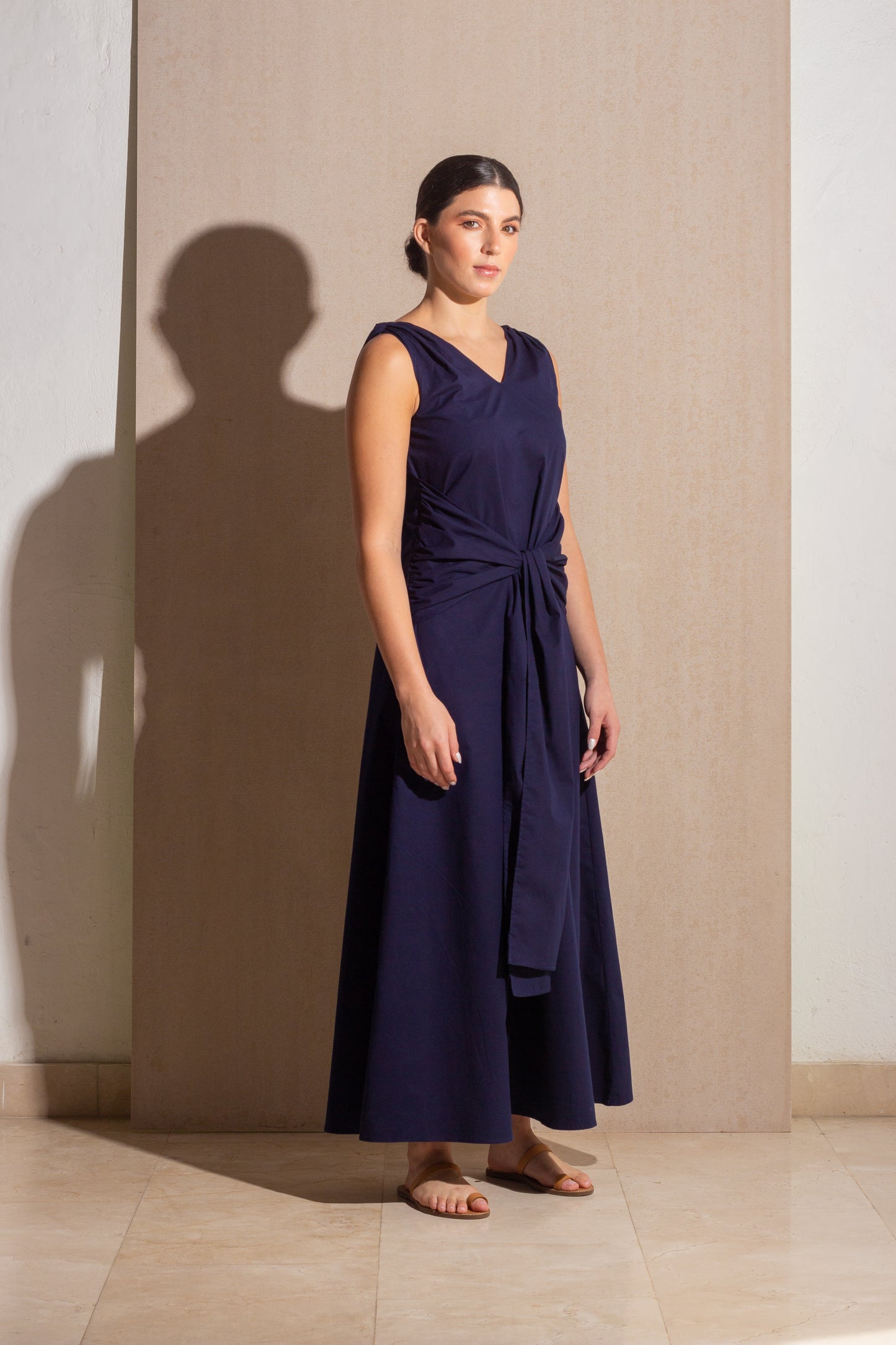 Carriage Navy Dress