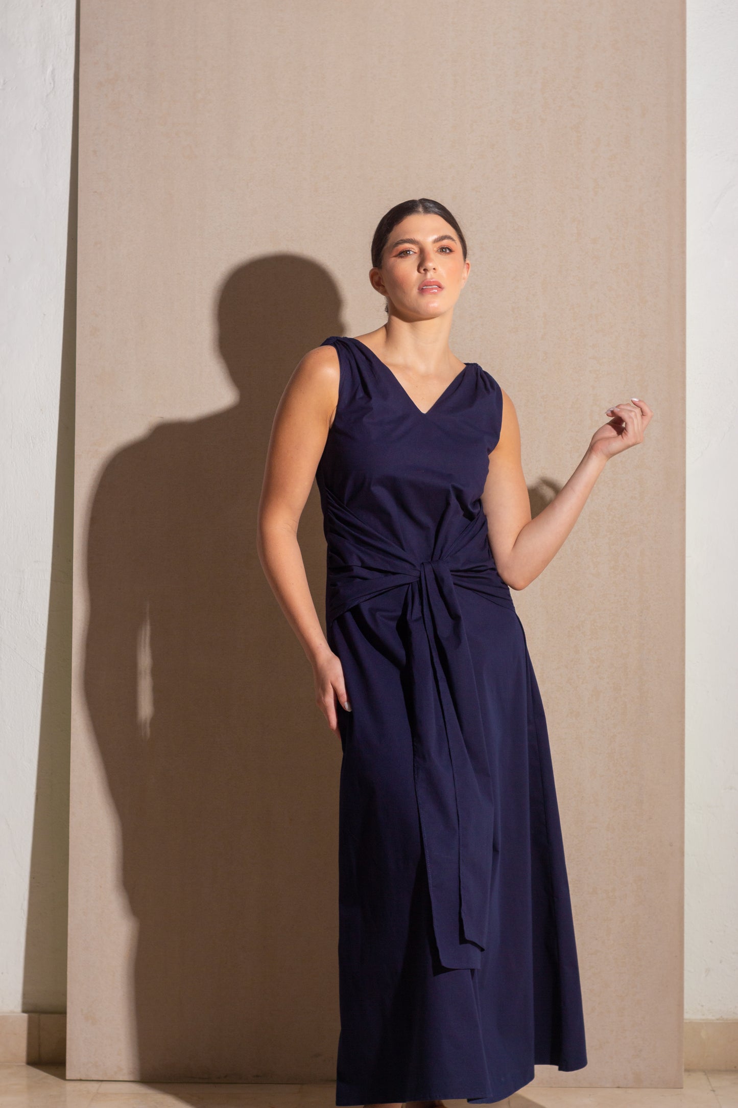 Carriage Navy Dress