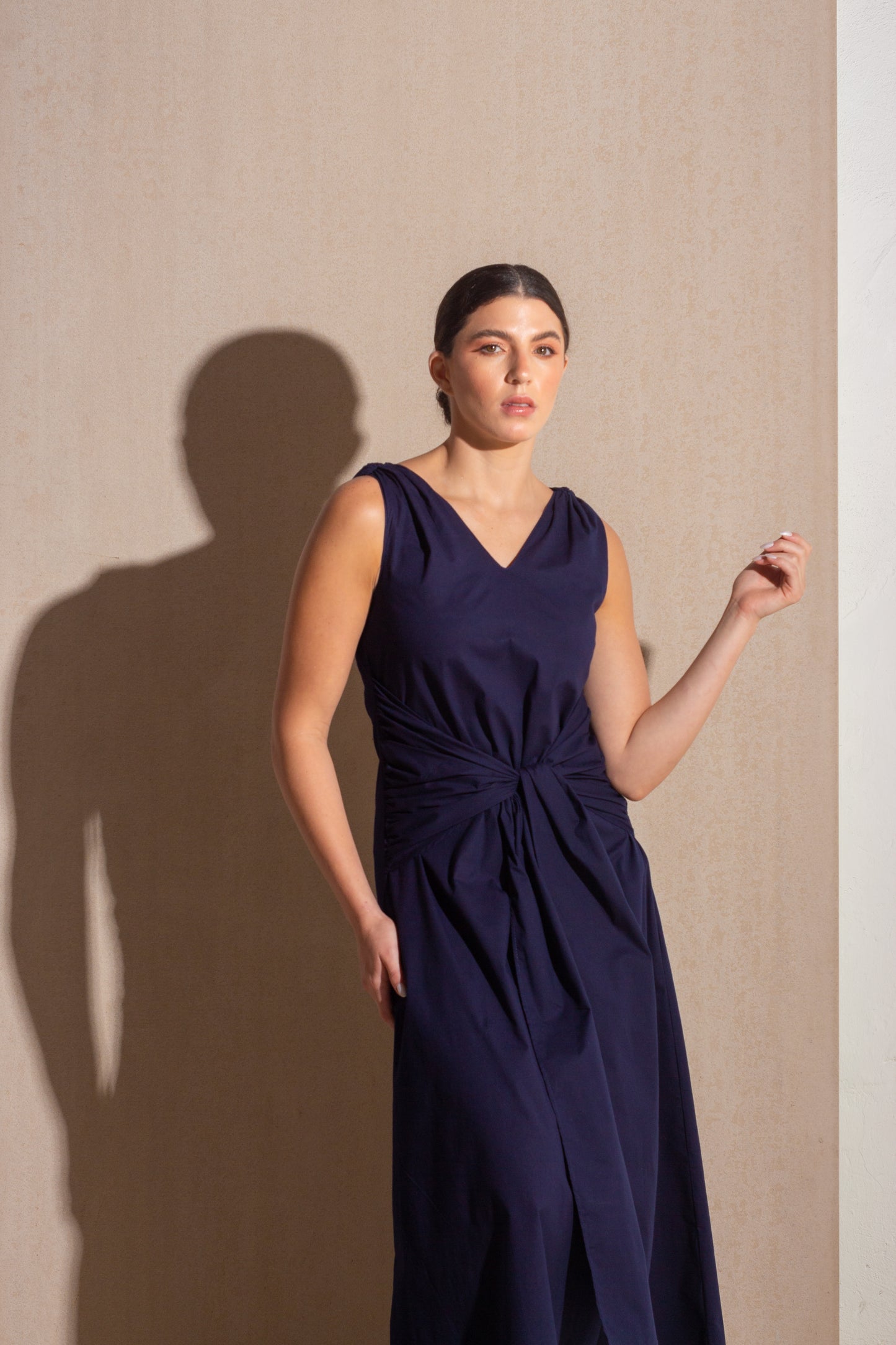 Carriage Navy Dress